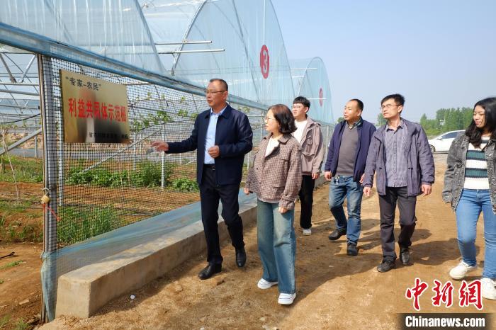 圖為掛職專家指導高標準葡萄種植棚建設。(資料圖) 山東省農科院 供圖