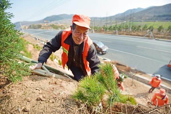 扮靚道路