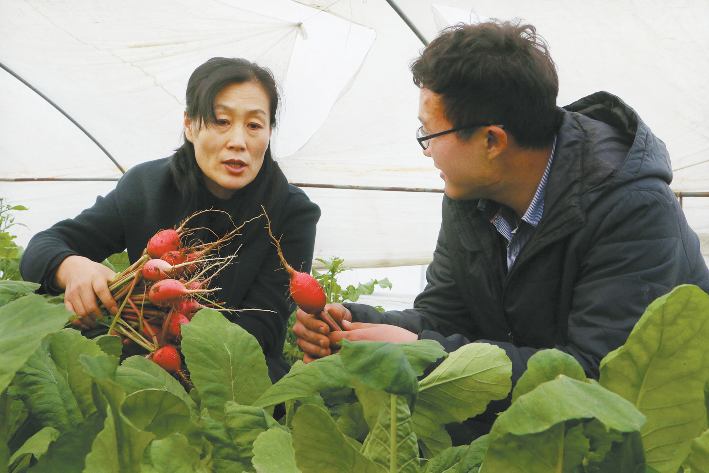 做“良心農業(yè)”