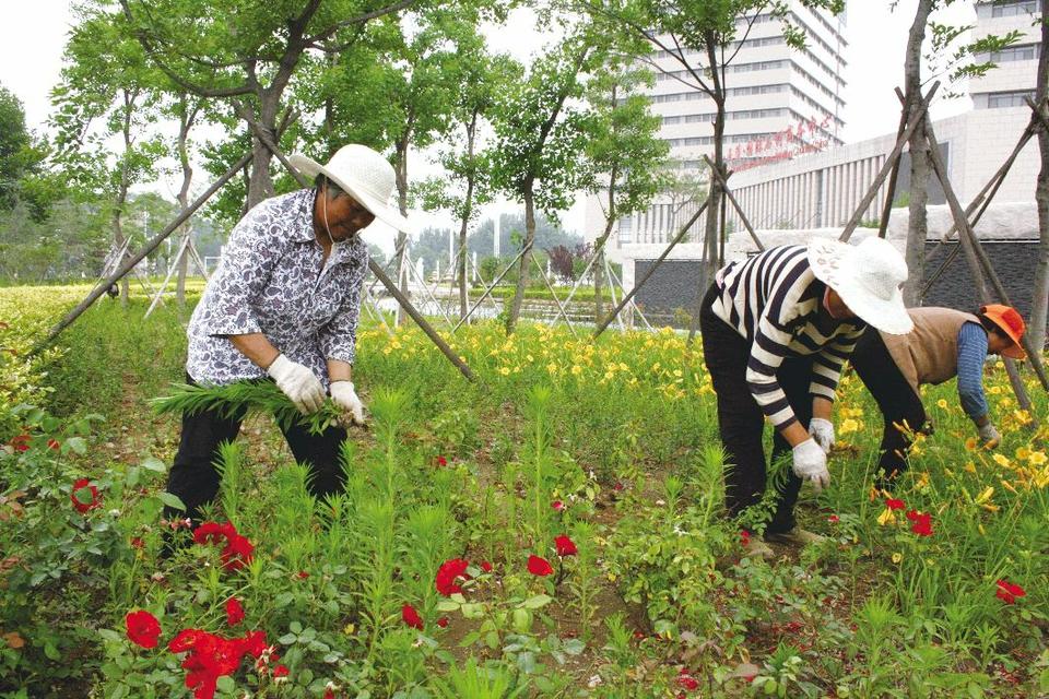 街頭鎮護水養綠打造生態綠色景觀