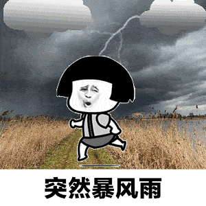 291719500525.gif 2.gif