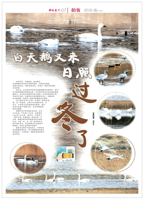 微信截圖_20201201163056.png