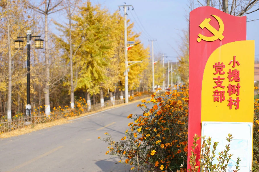黨建.jpg