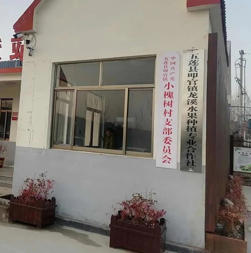 合作社.jpg