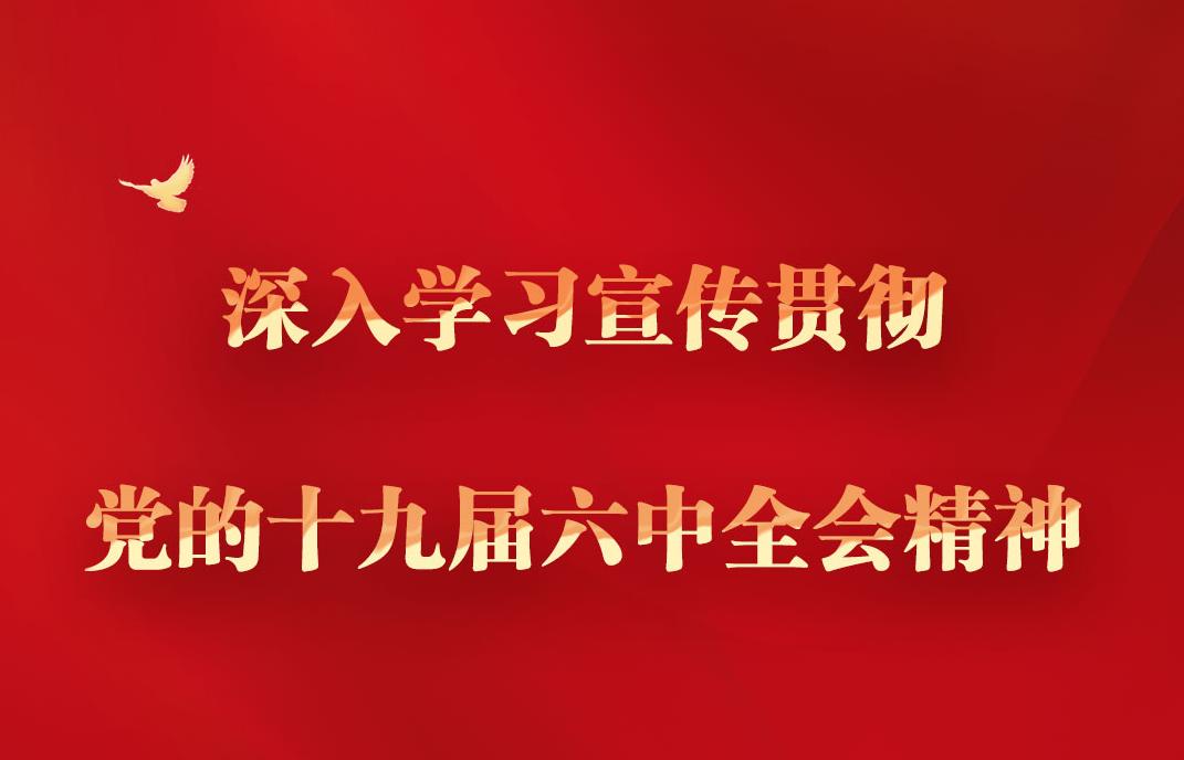 深入學習宣傳貫徹黨的十九屆六中全會精神