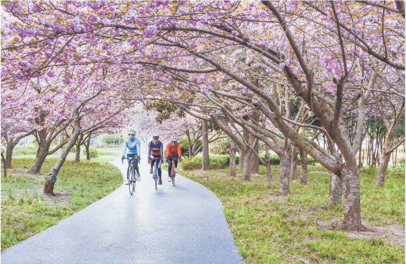 “騎遇”花海